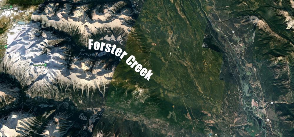 Forster Creek