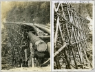 Capilano Timber Company fonds library.ubc.ca
